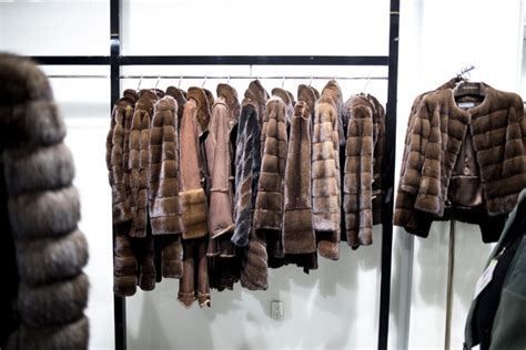Thieves With Discriminating Taste Steal Sable Furs From New York Shop