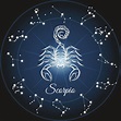 Skorpion - znak zodiaku jesieni. Charakterystyka - jakie są skorpiony ...