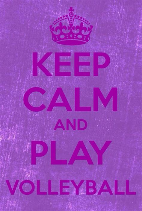 I Love To Play Volleyball It Is My Passion Calm Keep Calm Calm Artwork
