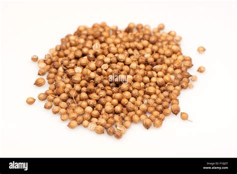 Coriander Seeds Isolated On White Background Stock Photo Alamy