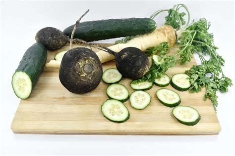 Free Picture Cucumber Fresh Organic Parsley Radish Root Salad
