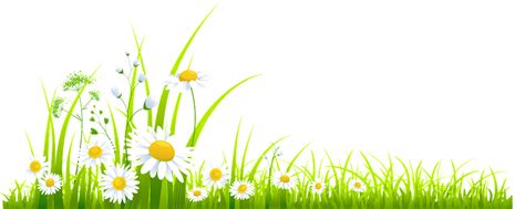 Meadow Png Images Transparent Free Download Pngmart