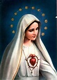 Virgen María: Historia, canciones, frases, virtudes, milagros y más