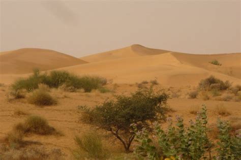 The Three Most Beatufiul Deserts Of India