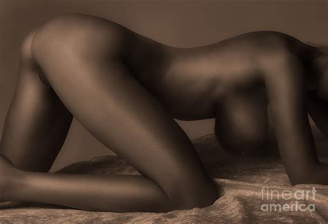 Nude Photograph By Dna Be Wild Fine Art America