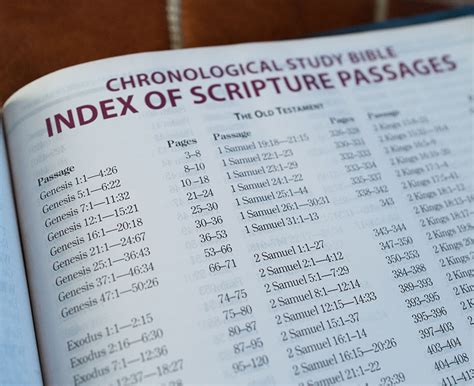The Chronological Study Bible Niv Thomas Nelson Bibles
