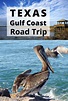 Texas Gulf Coast Road Trip Bird Watching Port Aransas : Solo Trips And Tips