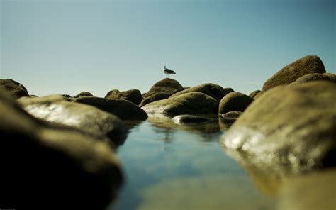 Wallpaper Sunlight Landscape Sea Water Rock Nature Reflection