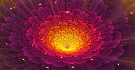 Light Abstract Nature Flowers Digital Art Macro Wallpapers Hd Desktop