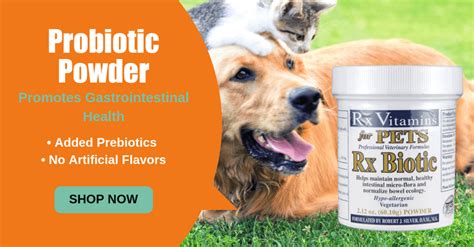 Some of these items are not ideal for dogs; Home Made Probiotics for Your Pets - Boulder Holistic Vet