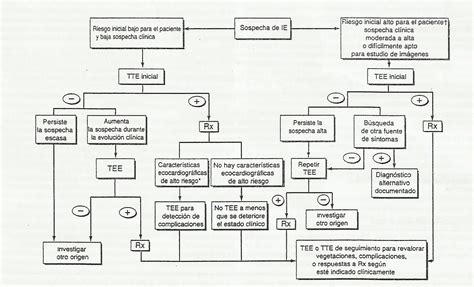 Malestar general fatigabilidad astenia taquicardia sinusal. Endocarditis Infecciosa y Miocarditis Chagásica: Cómo ...