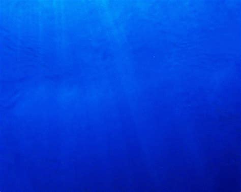 20 Gallon Blue Aquarium Background Petbackdrops Reusable Etsy