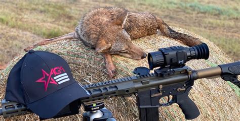 Varmint Hunting Rifles The Old Deer Hunters