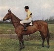 Image result for ARKLE RACEHORSE