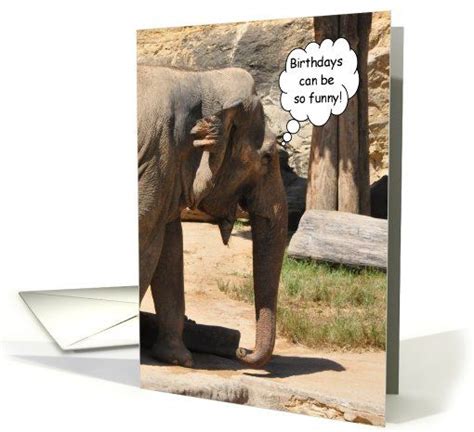 Elephant Birthday Humor Card Funny Birthday Cards Birthday Humor