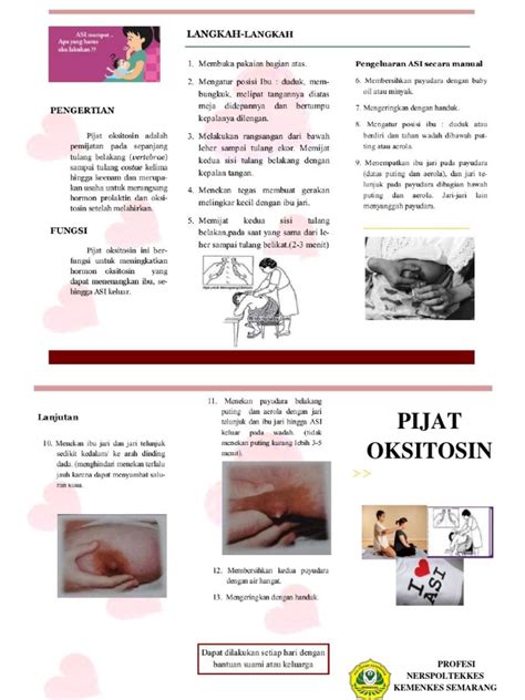 Leaflet Pijat Oksitosin Pdf