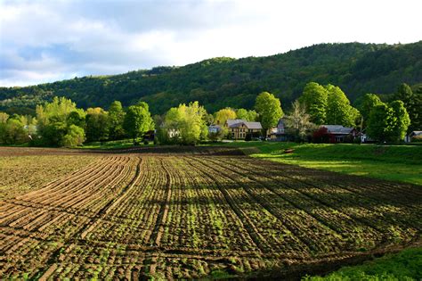 Filespring Field In Bethel Vermont Wikimedia Commons