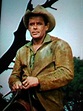 Glenn Ford. The Man From The Alamo. | Western hero, Glen ford, Portia ...