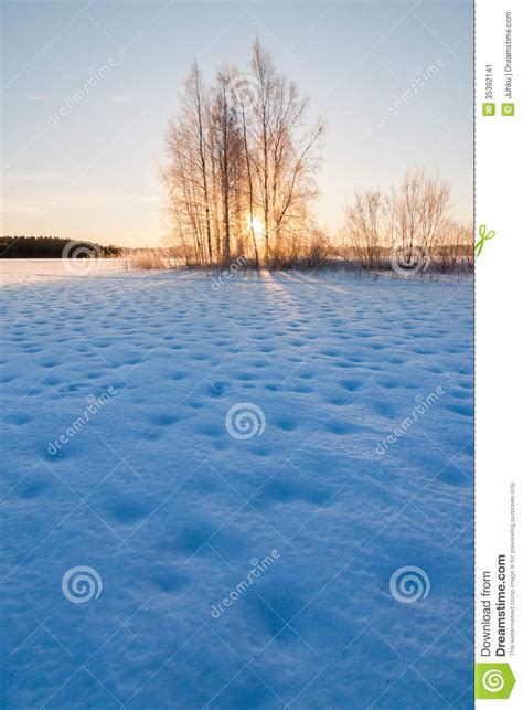 Frozen Snowy Lake And Sunrise Behind Trees Stock Image Image Of Quiet
