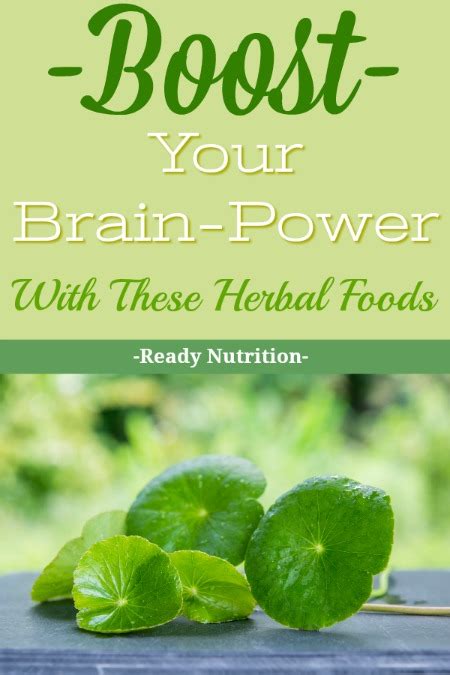 boost your brain power with these herbal foods ready nutrition
