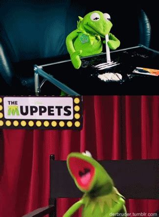 Cocaine kermit pics 1080x1080 : The Muppets Drugs GIF - Find & Share on GIPHY