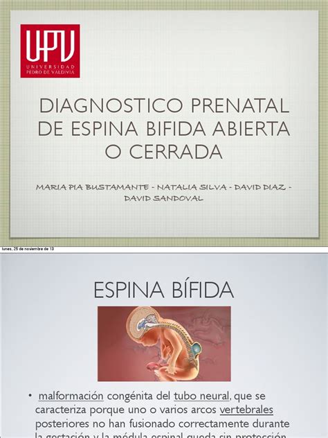 Presentacion Espina Bifida Pdf Neurología Enfermedades Y Trastornos