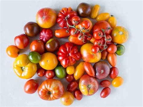 7 Popular Types Of Tomatoes And How To Use Them