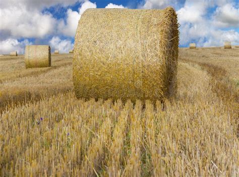 Hay Bale On A Field Stock Photo Image Of Country Nature 14174926
