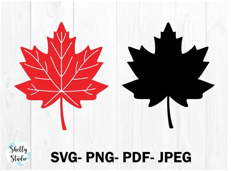 Maple Leaf Outline Printable