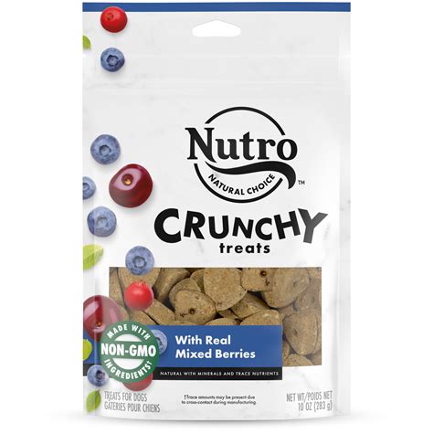 Nutro Real Mix Berry Flavor Crunchy Dog Treats 10 Oz Pouch