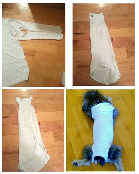 My kitties mean the world to me and that is the reason i decided to build them an easy diy cat and i started to wonder if i would be able to do the same in our small neighborhood without it sticking out like a sore thumb. Dog Onesie From A Shirt Sleeve | DopamineJunkie.org | Dog ...