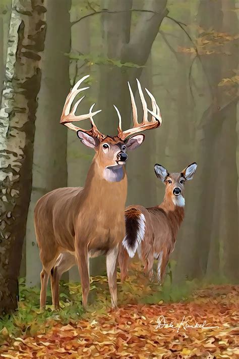 Whitetail Deer Buck And Doe Portrait Ii Painting By Dale
