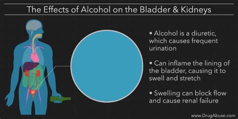 The Effects Of Alcohol On The Body