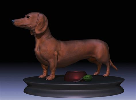 This model comes with materials and a texture map. Detailed Dachshund Dog 3D model | CGTrader