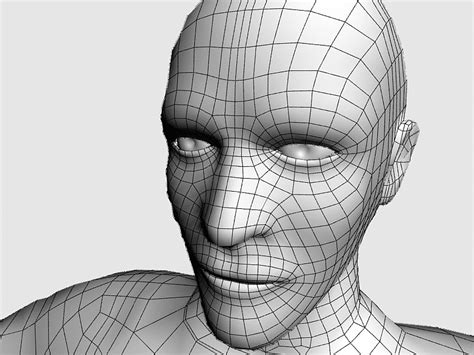 Wire Frame Model High Poly Wireframe Model Zbrush Polygon Mesh