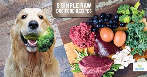 5 Easy To Make Raw Dog Food Recipes Dogs Naturally