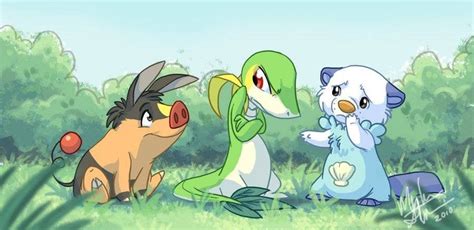 What Is Your Favorite Unova Starter By Emladoga Pokemon