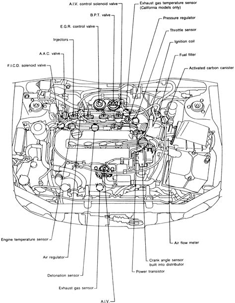 Nephron diagram unlabeled | world of reference. 1996 Nissan Sentra Engine Diagram