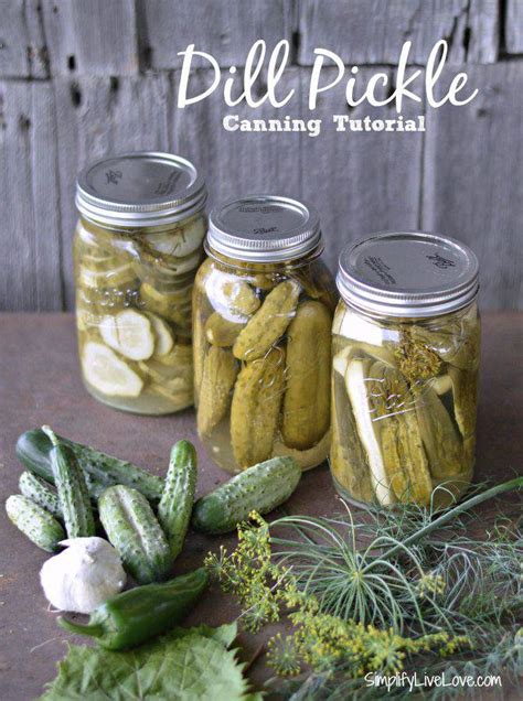 Dill Pickles Canning Tutorial Grandma S Secret Recipe Simplify Live Love