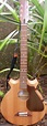 Barebones Crown Guitar --- https://www.pinterest.com/lardyfatboy ...
