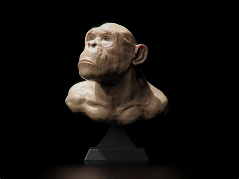 Bust Of An Ape 3d Model 3d Printable Cgtrader