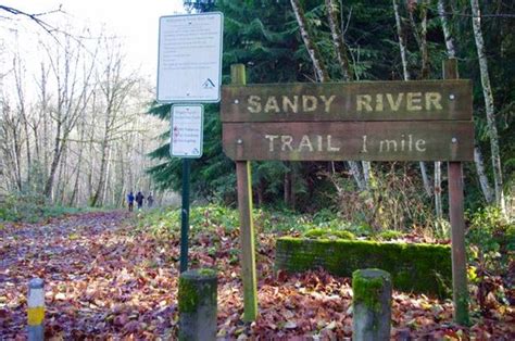 Sandy River Trailhead Hiking In Portland Oregon And Washington