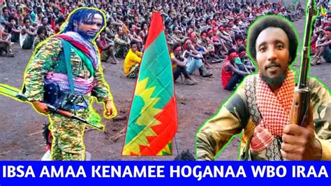 Ibsa Ajajaa Zonii Kibaa Bahaa Oromia Dhimaa Kamaal Heeboo Iratii Jal