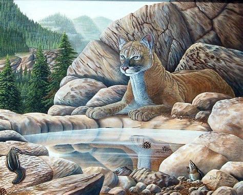 Cougar Painting By Don Erwin Fine Art America