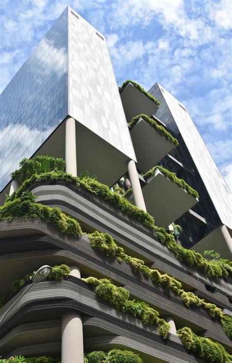 Biophilic Architecture In Singapore Home Designing