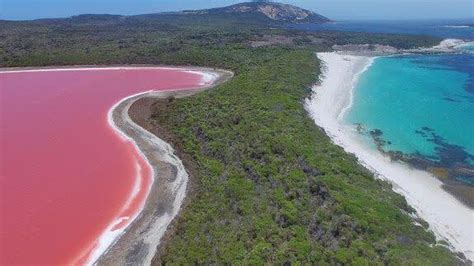 What Is Secret Behind The Australias Mysterious Pink Lake Weekly Recess