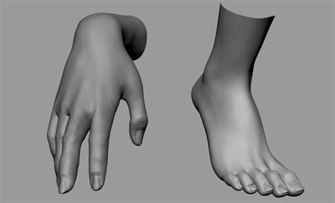 Female Hand Foot 3d Model Cgtrader