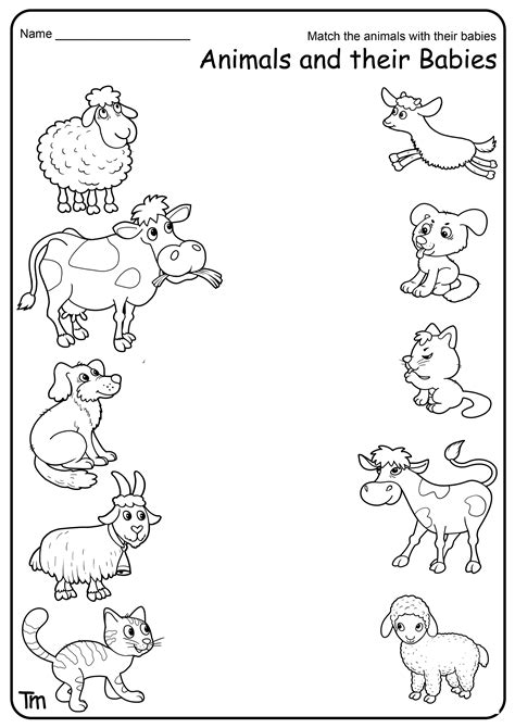 Worksheet On Animals And Their Babies
