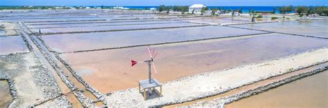 History Of The Salt Industry In The Turks And Caicos Islands Visit
