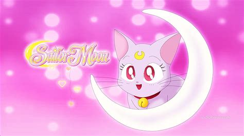 Sailor Moon Diana Cute Sailor Moon Anime Sailor Moon Cat Lovely